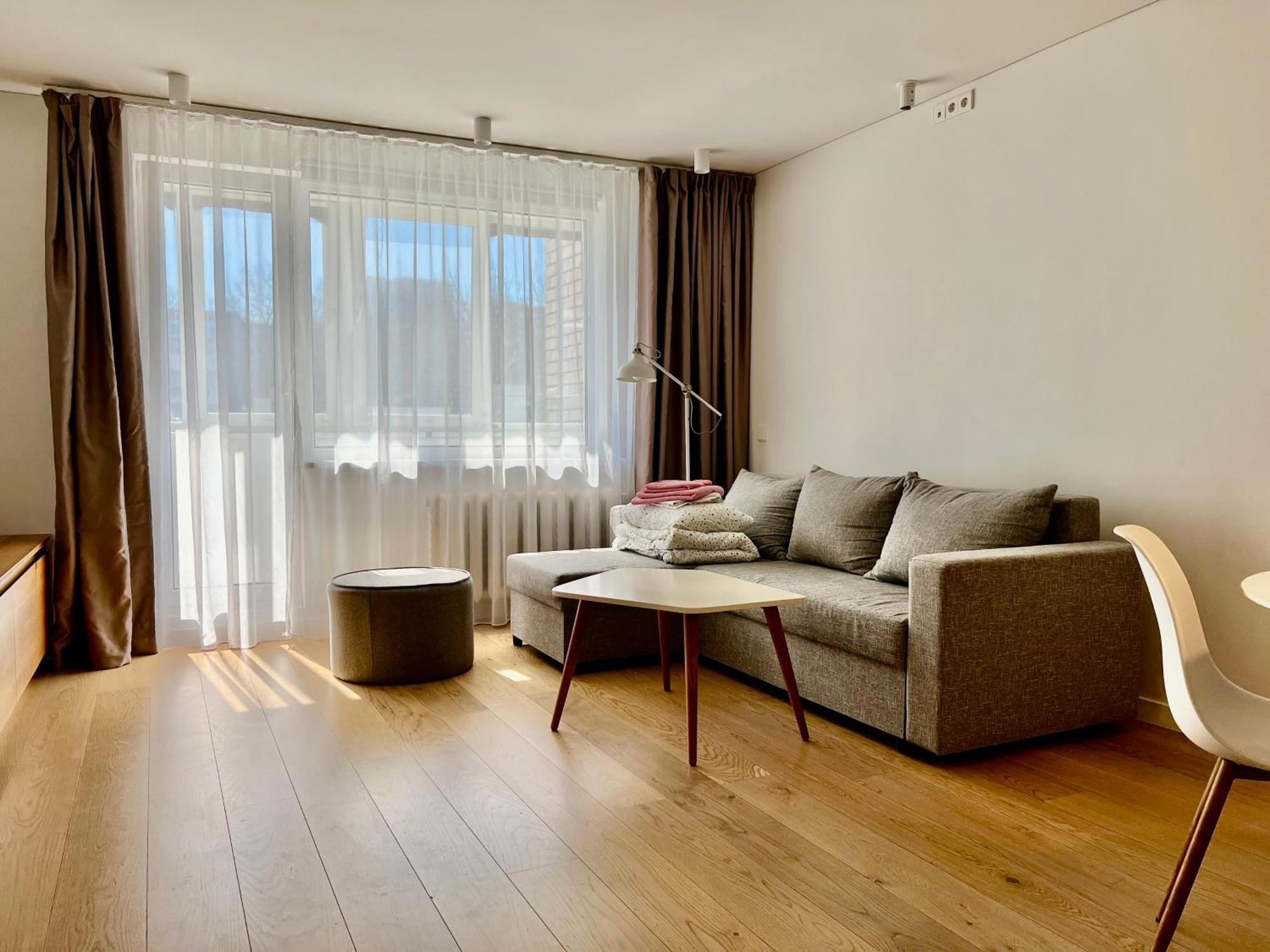 Modern To Relax And Work Vilnius